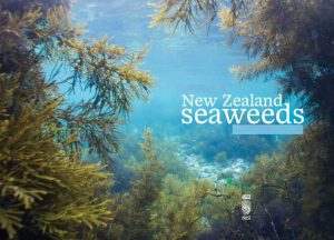 New-Zealand-Seaweed