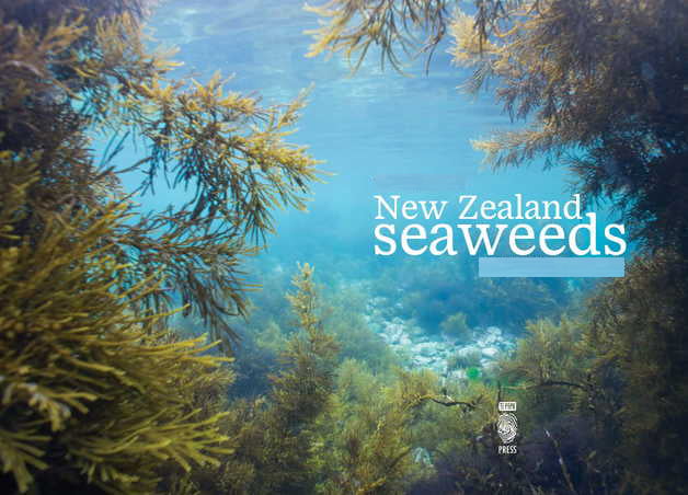 New-Zealand-Seaweed